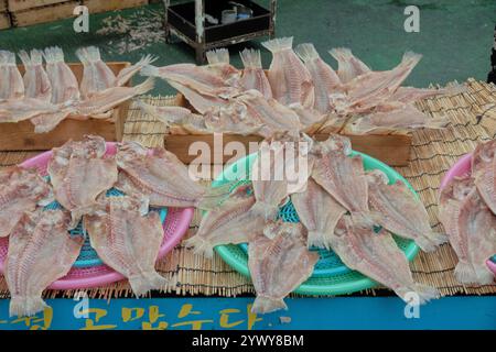 Dried fish for sale in the Seogwipo Olle Market, Seogwipo, Jeju, South Korea Stock Photo