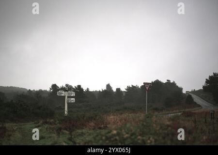 Ashdown forest with windy road, signpost and the forest background Stock Photo