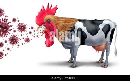 Bird Flu Mutation And Dairy Cows Spreading Highly Pathogenic Avian Influenza or HPAI  to a milk cow as a farm virus or livestock health risk Stock Photo