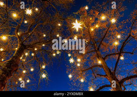 Decorated trees with glowing star-shaped lights in Ville Haute, Luxembourg City, during the Christmas season. Stock Photo