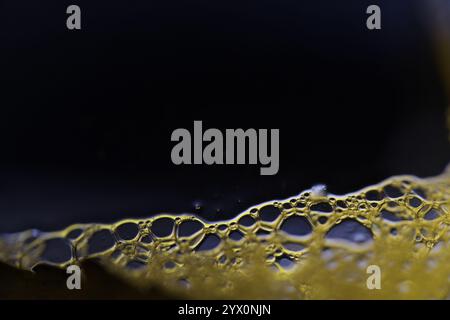 Bright bubbles at the bottom of the picture, minimalistic background, Yellow bubbles on black background, liquid abstraction Stock Photo