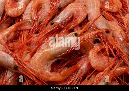 A detailed close-up image showcasing fresh raw shrimps with a focus on texture and natural color, highlighting their culinary appeal. Stock Photo