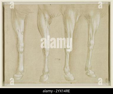 Copy after Leonardo da Vinci - Horses' fore-legs c.1490-1500, Stock Photo