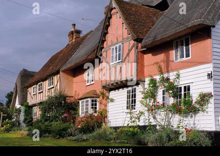 Pink half timbered, thatched roof cottages with gardens in Middle Street, Clavering, Saffron Walden, Essex, England, UK Stock Photo