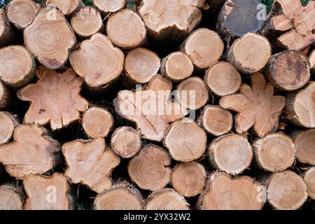 Stack of felled trees pattern. UK Stock Photo