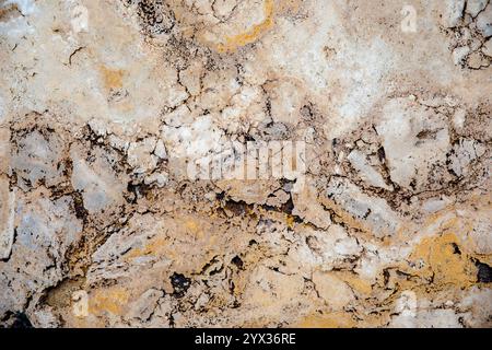 Random, Unique, Natural Cannstatter Travertine Texture - Freshwater Limestone Background Stock Photo