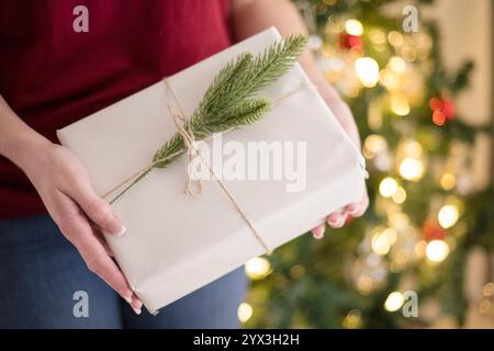 Woman holding a present in front of the christmas tree Stock Photo