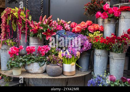 Flowers decorate the garden, with Amaranthus, burgundy lilies, hellebores, hydrangeas, cyclamens, anemones, roses, carnations, and hyacinths in a vase Stock Photo