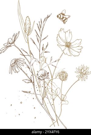 Field, meadow, wild flowers and herbs chamomile, cosmos, buttercups with a dragonfly. Line art is a simple hand-drawn illustration in beige, ochre Stock Vector