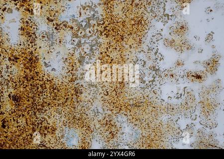 Iron plate with peeling paint and rust, background, texture, Italy, Europe Stock Photo