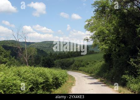 Zrin Fortress is a medieval fortress located on the slopes of Zrinska Gora, Croatia Stock Photo
