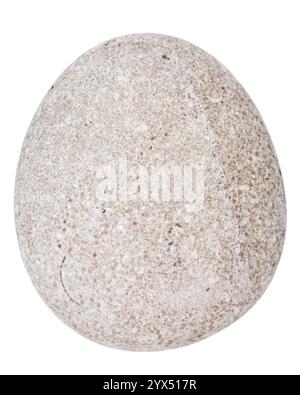 Top view of single gray pebble isolated on white background. Stock Photo