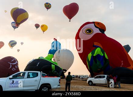 Doha, Qatar. 13th Dec, 2024. People watch as hot air balloons take off during the Qatar Balloon Festival 2024 in Doha, Qatar, on December 13, 2024. The 5th Edition of the Qatar Balloon Festival takes place here from December 12 to 22, and more than 50 participants participate in the festival. (Photo by Noushad Thekkayil/NurPhoto) Credit: NurPhoto SRL/Alamy Live News Stock Photo