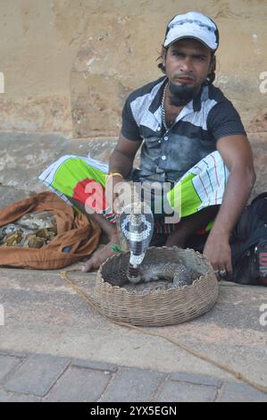 A snake charmer with a cobra at Galle, Sri Lanka. Stock Photo