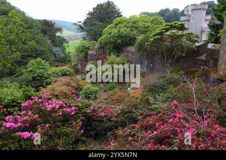 GREAT BRITAIN /Cornwall/Caerhays/ Caerhays Castle and woodland gardens Stock Photo