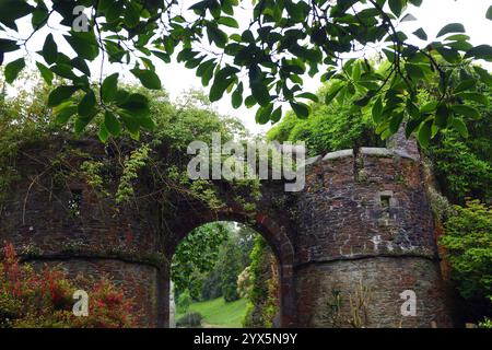 GREAT BRITAIN /Cornwall/Caerhays/Caerhays Castle. Stock Photo