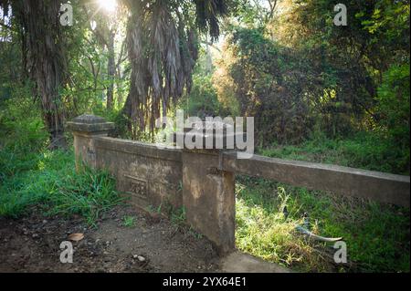 Historic concrete bridge marked 1938 over small creek, Historic concrete bridge marked 1938 over small creek, Gorongosa National Park, Sofala, Mozam Stock Photo