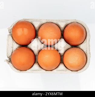 Open box with six whole brown eggs isolated on white background with clipping path. Fresh organic chicken eggs in carton pack or egg container. Stock Photo