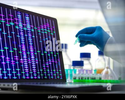 Scientist preparing a DNA (deoxyribonucleic acid) sample for analysis, with a DNA profile on the screen. Stock Photo