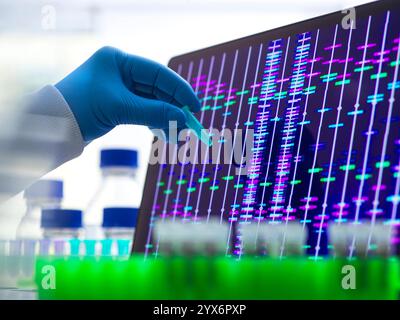 Scientist preparing a DNA (deoxyribonucleic acid) sample for analysis, with a DNA profile on the screen. Stock Photo