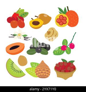 A Diverse Selection of Delicious Fresh Fruits Stock Vector