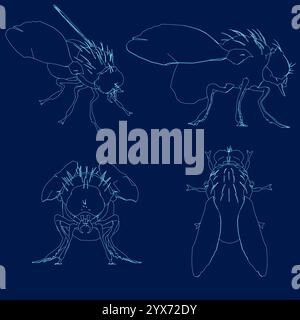 Set of fly outline - vector illustration. Isolated blue contour of insects Stock Vector