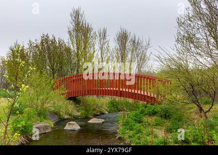 Red wooden arch bridge over Geothermal Goldfish Pond (Kaldbakur pond) hot springs south of Husavik, Iceland with lush green vegetation and trees aroun Stock Photo