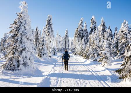 Woman hiking through frosty forest on trekking trail. Winter hike in wonderful snowy nature Stock Photo