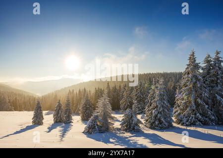 Winter landscape. Sun shining above snowy mountain forest with snow covered spruce trees Stock Photo