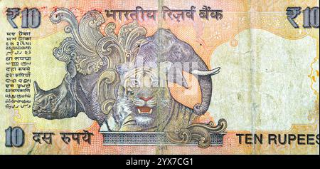 large fragment of the reverse side of ten 10 Indian Rupees INR issued by Reserve Bank of India, features Rhinoceros and elephant heads behind tiger at Stock Photo