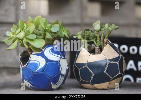 Reused planter ideas. old soccer ball and teapot turn into garden ...