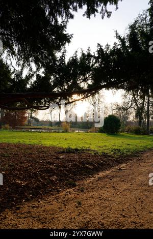 Exploring the tranquil paths of Bois de Vincennes during a serene evening in Paris Stock Photo