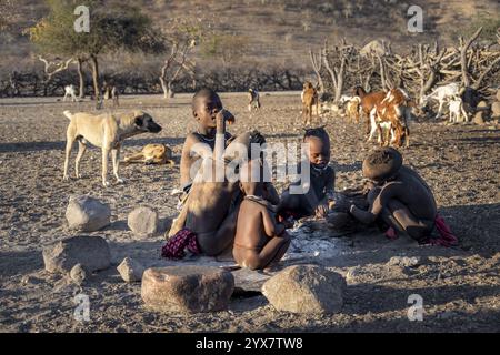 Himba children sitting by the fire, in the morning light, traditional Himba village, Kaokoveld, Kunene, Namibia, Africa Stock Photo