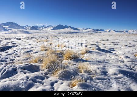 Winter landscape of the Pamir Plateau, Pamir Highway, Alichur, Gorno-Badakhshan Province, Tajikistan, Central Asia, Asia Stock Photo