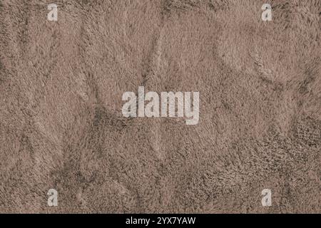 Soft shaggy brown carpet texture. Fluffy synthetic textile fur, plush textile, blanket cloth background. Wallpaper, backdrop, solid color Stock Photo