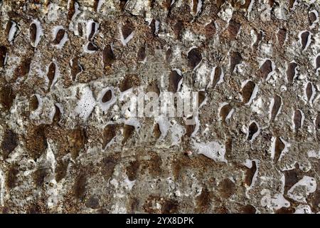 Surface floor with spiked cement with water and foam Stock Photo