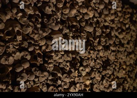 A picture of multiple skulls and bones at the Brno Ossuary. Stock Photo