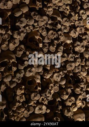 A picture of multiple skulls and bones at the Brno Ossuary. Stock Photo