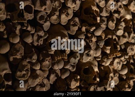 A picture of multiple skulls and bones at the Brno Ossuary. Stock Photo