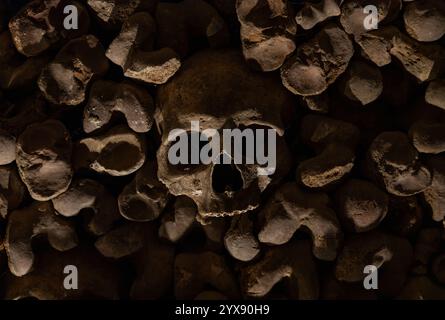 A picture of multiple skulls and bones at the Brno Ossuary. Stock Photo