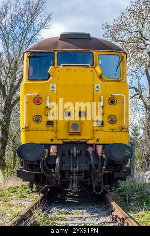 A low angle front view of a Class 31 diesel locomotive at the Weardale Railway with trees in the background Stock Photo