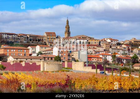 Panoramic view of the autumn vineyards in the region of La Rioja with colorful leaves and mountain range as backdrop Stock Photo