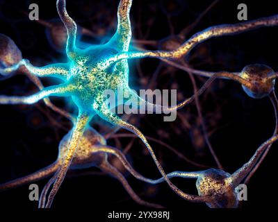 Brain cells network of connected neurons conceptual 3D illustration Stock Photo