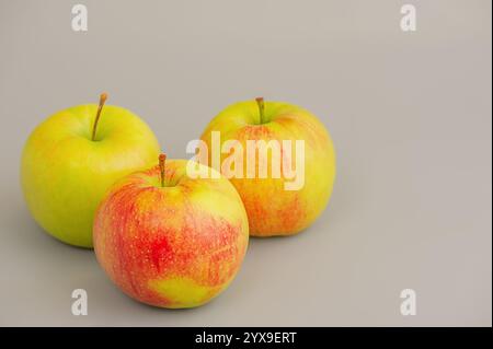 Three apples on a gray background Stock Photo