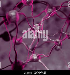 Model of a Biological Neural network of the human brain, interconnected neurons, brain cells and connections, scientific 3D illustration in purple col Stock Photo