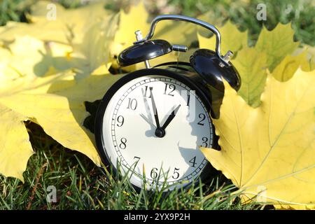 Autumn time. Alarm clock among fallen leaves on green grass, closeup Stock Photo