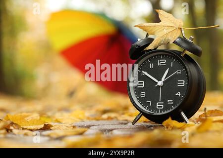Autumn time. Alarm clock and umbrella in park, selective focus. Space for text Stock Photo