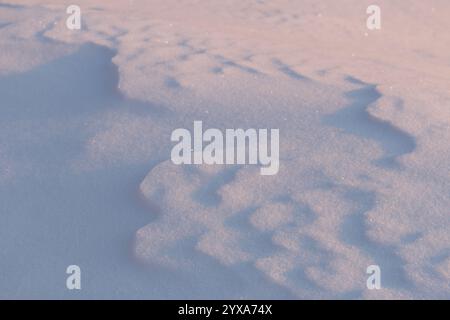 Abstract natural shadow patterns on fresh pastel blue and pink snow surface background Stock Photo