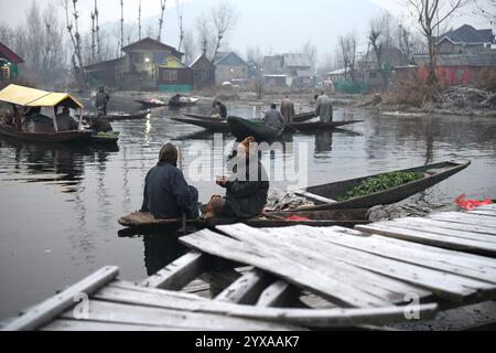 Srinagar, Jammu And Kashmir, India. 15th Dec, 2024. Kashmiri men gather with their boats loaded with vegetables at the floating vegetable market in the interior of Dal Lake at dawn during the cold winter season. Dal Lake's floating vegetable market, a 200-year-old tradition, is a unique feature of Kashmir Valley. Generations of Kashmiris have cultivated vegetables in floating gardens and sold them daily on the lake. Vendors from across the city arrive early to purchase fresh organic produce, which they later resell in urban markets. The bustling activity lasts just an hour before the market Stock Photo