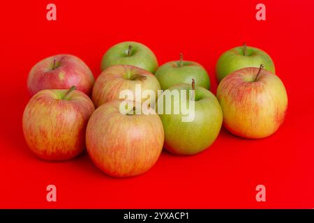 Apples on a red background. Red with yellow and green apples Stock Photo